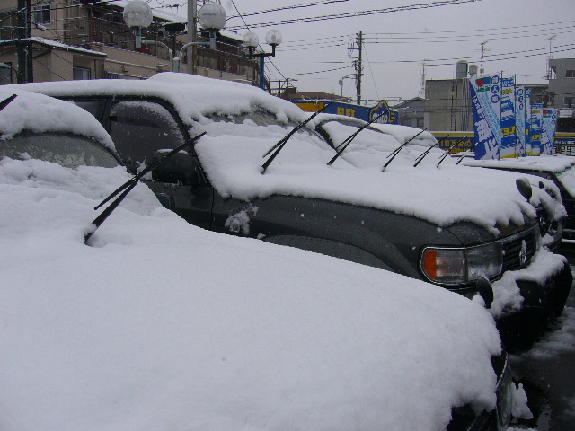 雪にピッタリな車ランクル×クリスタルヘッドライト×HID♪