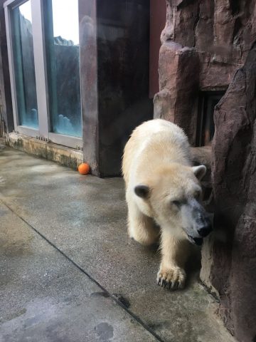 上野動物園