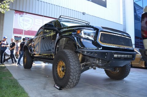 SPYDER TUNDRA SPYDER TUNDRA