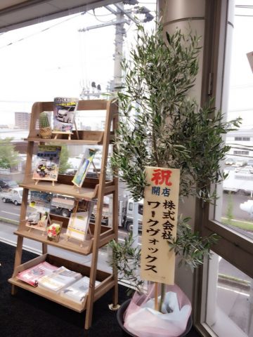 お祝いの観葉植物 お祝いの観葉植物