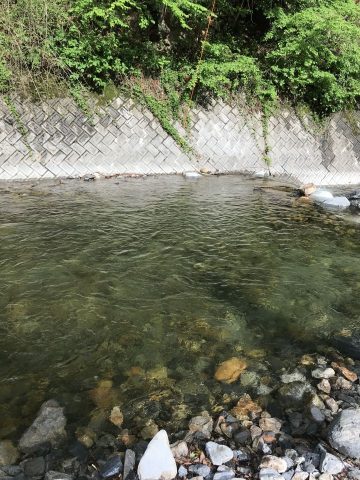 自然豊かな渓流