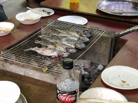 釣り上げたばかりの魚は塩焼きで！