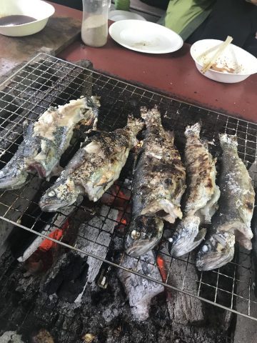 魚の塩焼き