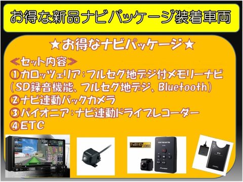 flexdream高崎店ナビPKG【ランクルED】