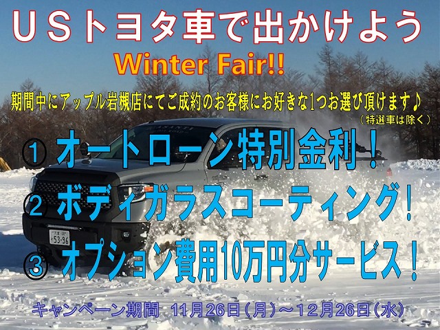 ã¢ããã« å²©æ§»ã¤ã³ã¿ã¼ ã­ã£ã³ãã¼ã³ ç¹å¥éå© ã³ã¼ãã£ã³ã° ãªãã·ã§ã³ 10ä¸åå ãµã¼ãã¹