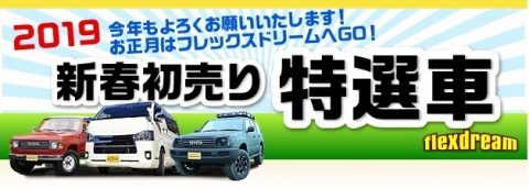 flexdream2019初売り特選車