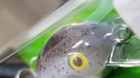 フレックスドリーム ルアー ピーナッツ フレックスドリーム ルアー ピーナッツ