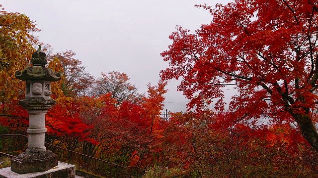 三峰神社　秩父　紅葉