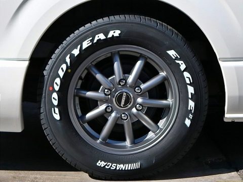 アルジェノン：フェニーチェMX-1 × Goodyear：ナスカー