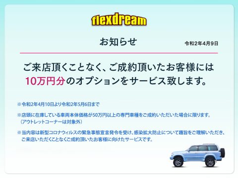 ご来店頂くことなく、ご成約頂けるお客様には10万円分のオプションをサービス致します