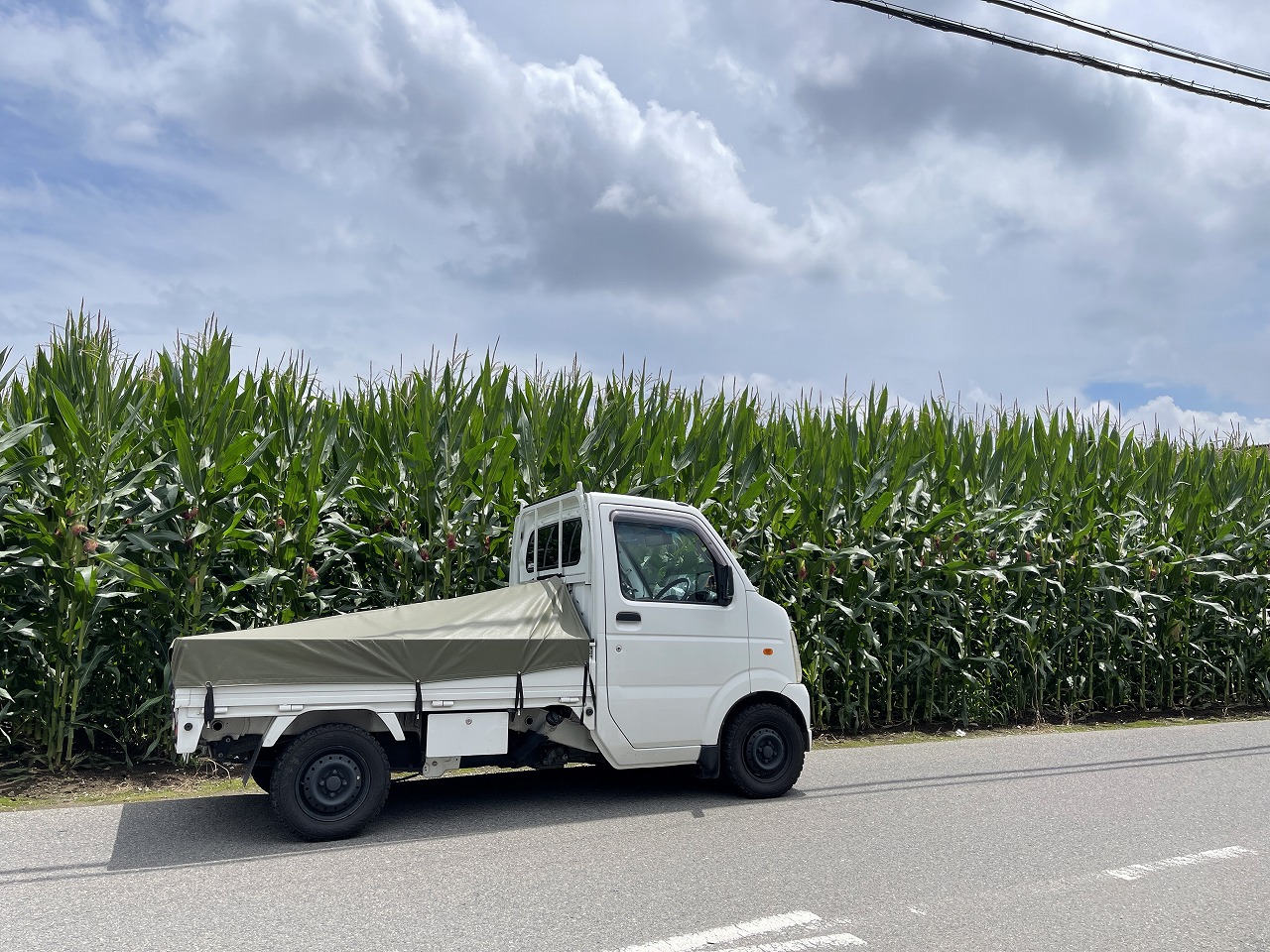 軽トラ　アウトドア　軽キャン