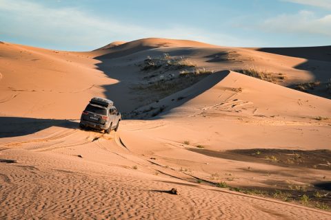 ランドクルーザー300 ARB カスタム モンゴル 砂丘 オフロード