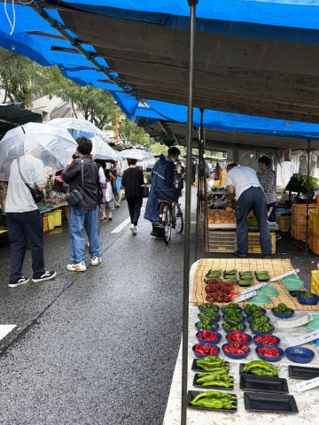 kochi-sunday-market 高知名物 日曜市 地元グルメと屋台の風景